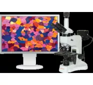 Анализаторы изображений SEO ImageLab для световых микроскопов фото